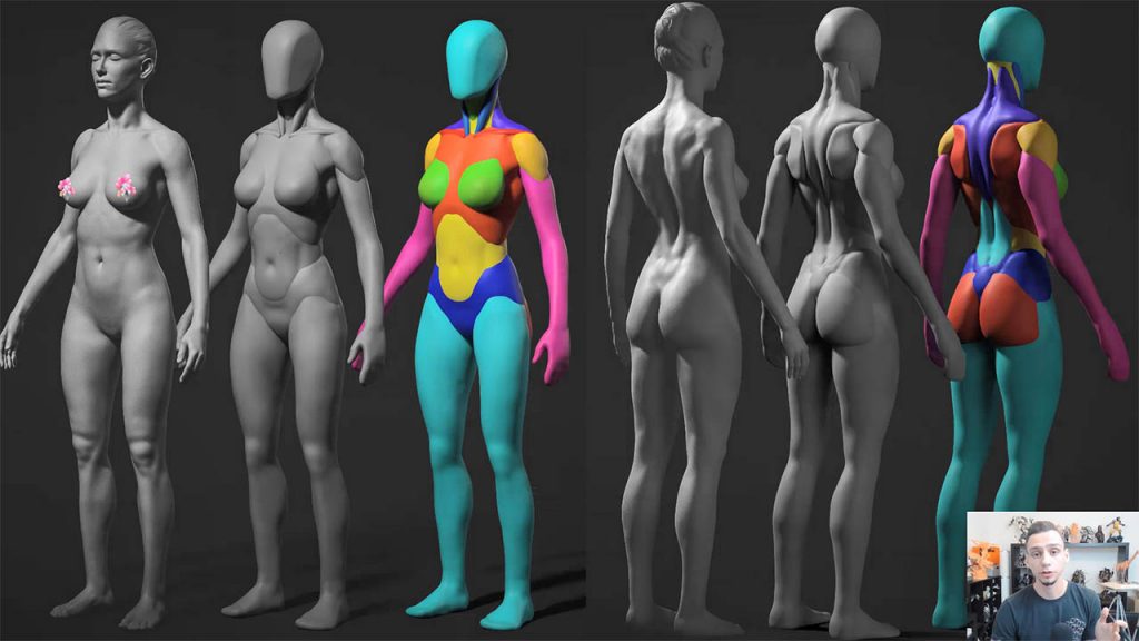 女性人体解剖学教程 Female Anatomy Tutorial