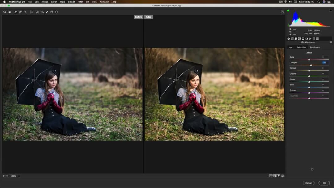 How to Master in Adobe Camera Raw Plugin Photoshop CC 2019 – Skillshare