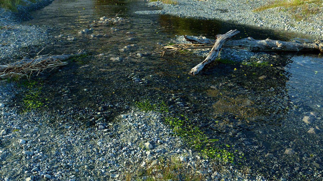 Creating Rivers Using Octane and C4D – Gumroad